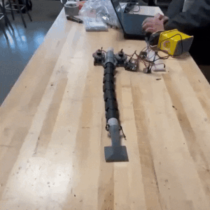 Snake vacuum - Successful movement test